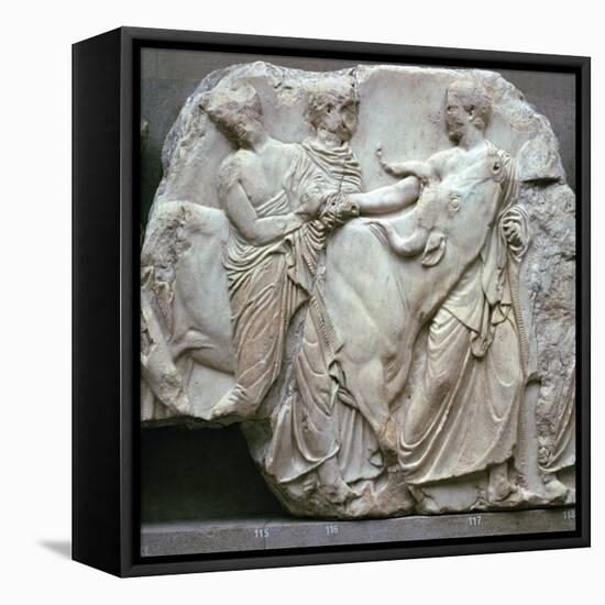 Detail of the Elgin Marbles, 5th century BC-Phidias-Framed Stretched Canvas