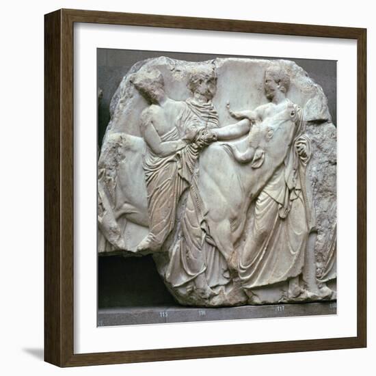 Detail of the Elgin Marbles, 5th century BC-Phidias-Framed Giclee Print