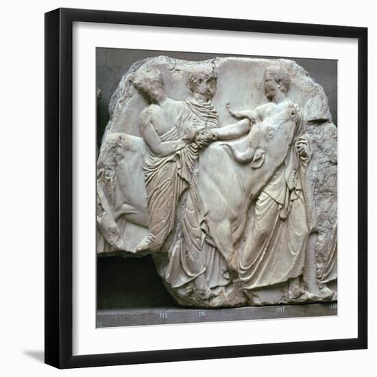 Detail of the Elgin Marbles, 5th century BC-Phidias-Framed Giclee Print