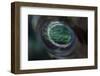 Detail of the Eye of a Porcupinefish-Stocktrek Images-Framed Photographic Print