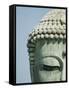 Detail of the Face of the Great Buddha of Kamakura-null-Framed Stretched Canvas