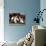 Detail of the Feet of a Group of Ruby Players in a Scrum, Paris, France-null-Photographic Print displayed on a wall