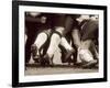 Detail of the Feet of a Group of Ruby Players in a Scrum, Paris, France-null-Framed Photographic Print