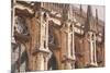 Detail of the Gothic Architecture on the Southern Facade of Notre Dame De Reims Cathedrall-Julian Elliott-Mounted Photographic Print