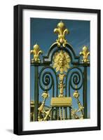Detail of the Grille D'Honneur of Fleur De Lys and the Emblem of Louis XIV (1638-1715)-null-Framed Giclee Print