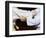 Detail of the Hands of Judo Competitors in Action-null-Framed Photographic Print