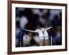 Detail of the Hands of Male Gymnast Grabing the High Bar-Paul Sutton-Framed Photographic Print