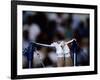 Detail of the Hands of Male Gymnast Grabing the High Bar-Paul Sutton-Framed Photographic Print