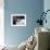 Detail of the Hands of Male Gymnast Preparing for Competition-Paul Sutton-Framed Photographic Print displayed on a wall