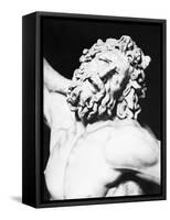 Detail of the Head of Laocoon from the Laocoon Group-null-Framed Stretched Canvas
