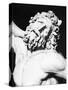 Detail of the Head of Laocoon from the Laocoon Group-null-Stretched Canvas