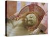 Detail of the Head of the Dead Christ by Fra Angelico-null-Stretched Canvas