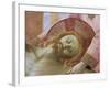 Detail of the Head of the Dead Christ by Fra Angelico-null-Framed Giclee Print