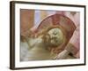 Detail of the Head of the Dead Christ by Fra Angelico-null-Framed Giclee Print