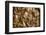 Detail of the Nativity on the carved altar, dating from 1509, Mauer bei Melk church, Lower Austria-Godong-Framed Photographic Print