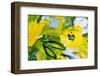 Detail of the Painting as a Background-simonidadjordjevic-Framed Photographic Print