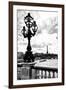 Detail of the Pont  Alexander III bridge - with the Eiffel Tower in the background - Seine River --Philippe Hugonnard-Framed Premium Photographic Print