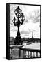 Detail of the Pont  Alexander III bridge - with the Eiffel Tower in the background - Seine River --Philippe Hugonnard-Framed Stretched Canvas
