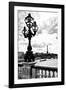 Detail of the Pont  Alexander III bridge - with the Eiffel Tower in the background - Seine River --Philippe Hugonnard-Framed Photographic Print