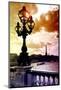 Detail of the Pont  Alexander III bridge - with the Eiffel Tower in the background - Seine River --Philippe Hugonnard-Mounted Photographic Print