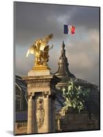 Detail of the Pont Alexandre Iii Bridge, Paris, France-Walter Bibikow-Mounted Photographic Print