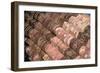 Detail of the Qutub Minar, New Delhi, India-null-Framed Photographic Print