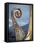 Detail of the Replica of a 9th Century Ad Viking Ship, Oseberg, Norway, Scandinavia, Europe-David Lomax-Framed Stretched Canvas