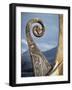 Detail of the Replica of a 9th Century Ad Viking Ship, Oseberg, Norway, Scandinavia, Europe-David Lomax-Framed Photographic Print