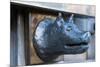 Detail of the she-wolf handle at the fence of Arch of Constantine, Rome, Latium, Italy-Nico Tondini-Mounted Premium Photographic Print