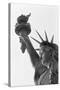 Detail of the Statue of Liberty by Frederic Auguste Bartholdi-null-Stretched Canvas