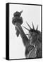 Detail of the Statue of Liberty by Frederic Auguste Bartholdi-null-Framed Stretched Canvas