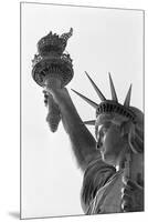 Detail of the Statue of Liberty by Frederic Auguste Bartholdi-null-Mounted Premium Photographic Print