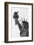 Detail of the Statue of Liberty by Frederic Auguste Bartholdi-null-Framed Photographic Print