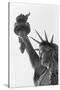 Detail of the Statue of Liberty by Frederic Auguste Bartholdi-null-Stretched Canvas