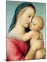Detail of the 'Tempi' Madonna, 1508-Raphael-Mounted Giclee Print