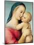 Detail of the 'Tempi' Madonna, 1508-Raphael-Mounted Giclee Print