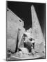 Detail of the Temple of Luxor-Stuart Westmorland-Mounted Photographic Print