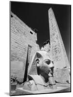 Detail of the Temple of Luxor-Stuart Westmorland-Mounted Photographic Print