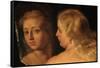 Detail of The Toilet of Venus-Peter Paul Rubens-Framed Stretched Canvas