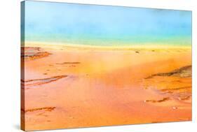 Detail of the Vibrant Colors of Grand Prismatic Pool, Yellowstone NP-dzain-Stretched Canvas