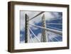 Detail of Tilikum Crossing bridge, Portland, Oregon, USA-Panoramic Images-Framed Photographic Print