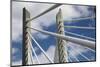 Detail of Tilikum Crossing bridge, Portland, Oregon, USA-Panoramic Images-Mounted Photographic Print