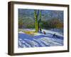 Detail of "Top of Allestree Park", 2014-Andrew Macara-Framed Giclee Print