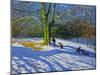 Detail of "Top of Allestree Park", 2014-Andrew Macara-Mounted Giclee Print