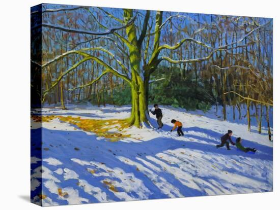 Detail of "Top of Allestree Park", 2014-Andrew Macara-Stretched Canvas