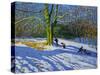 Detail of "Top of Allestree Park", 2014-Andrew Macara-Stretched Canvas