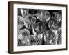 Detail of Transmission Cables, 6 Core Wires of Steel Protruding From Bundle of 60 Aluminum Cables-Margaret Bourke-White-Framed Photographic Print