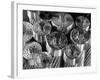 Detail of Transmission Cables, 6 Core Wires of Steel Protruding From Bundle of 60 Aluminum Cables-Margaret Bourke-White-Framed Photographic Print