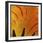 Detail of Tulip in Garden in Fuquay Varina, North Carolina-Melissa Southern-Framed Photographic Print