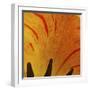 Detail of Tulip in Garden in Fuquay Varina, North Carolina-Melissa Southern-Framed Photographic Print